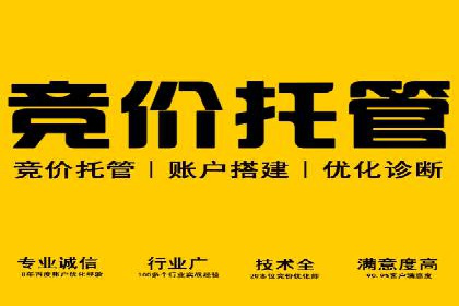 百度优化推广全解析：从零到一的流量增长